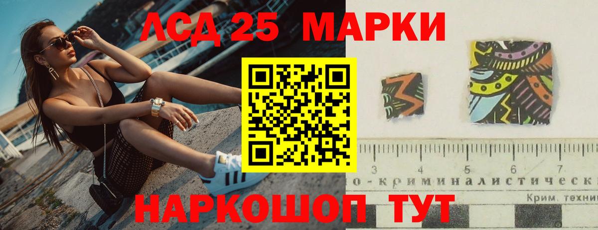 Курчалой  ЛСД экстази  Вход с VPN  OMG   ЛСД экстази кислота 