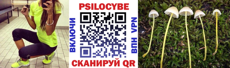 Галлюциногенные грибы мухоморы  цены наркотик  Курчалой 