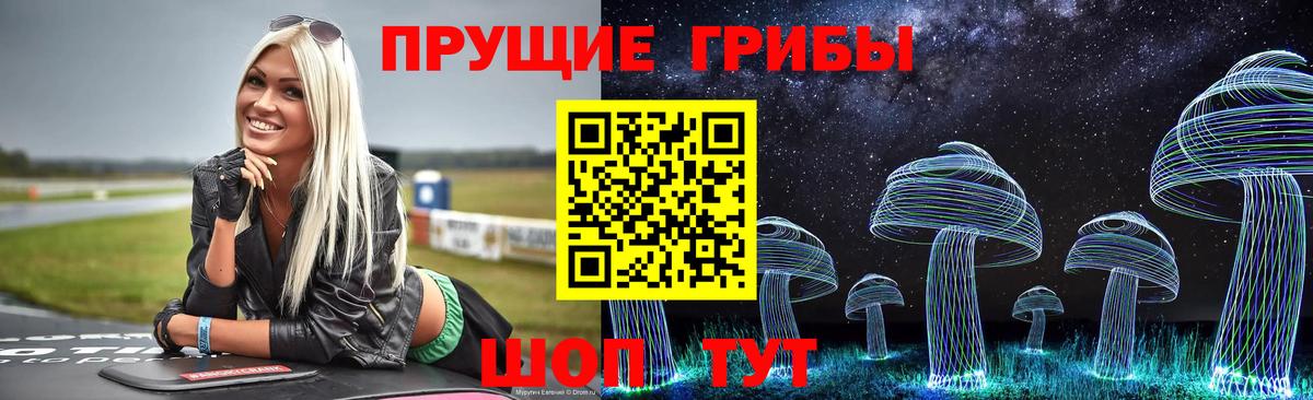 Курчалой  Псилоцибиновые грибы прущие грибы  Вход с VPN 