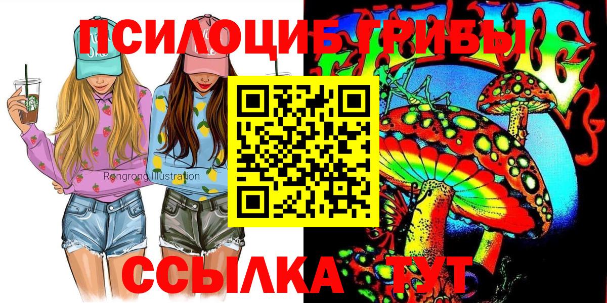Галлюциногенные грибы прущие грибы Курчалой