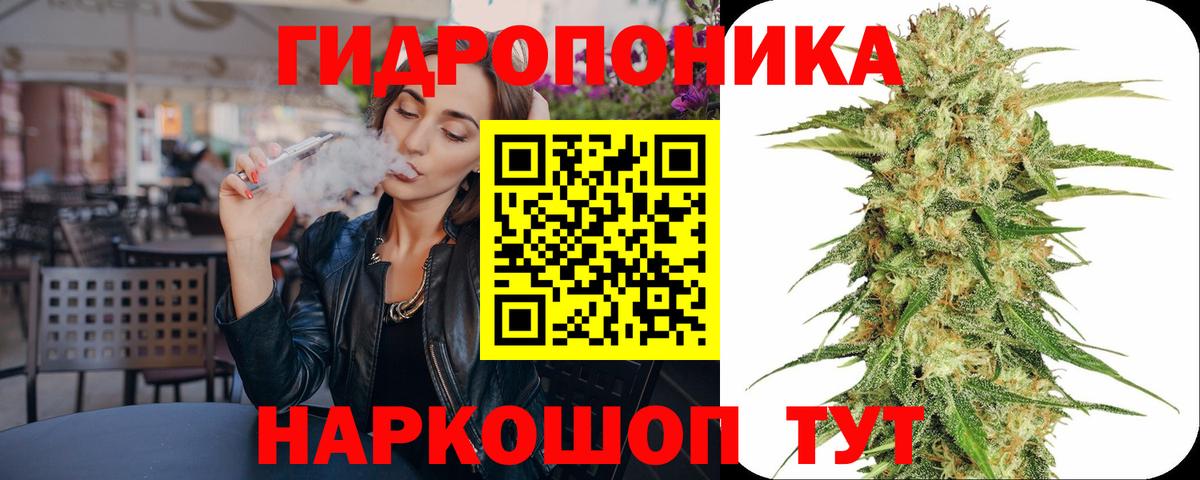 Курчалой  Конопля сатива  Марихуана OG Kush  Вход с VPN 